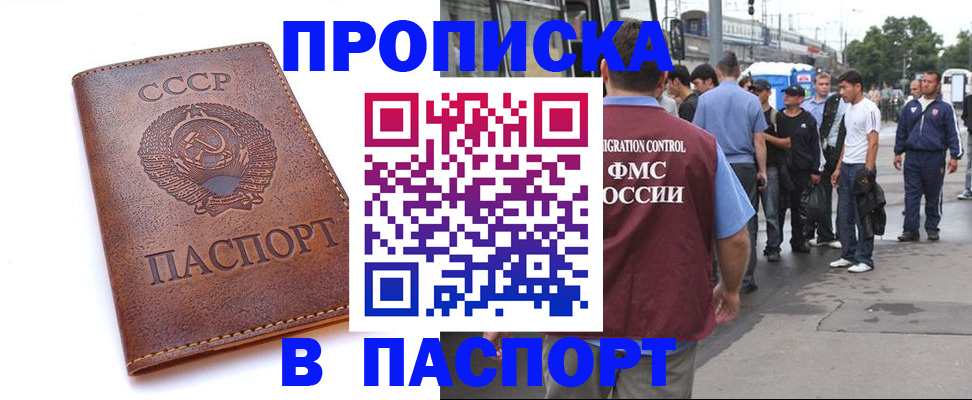 временная регистрация поиск в Курской области
